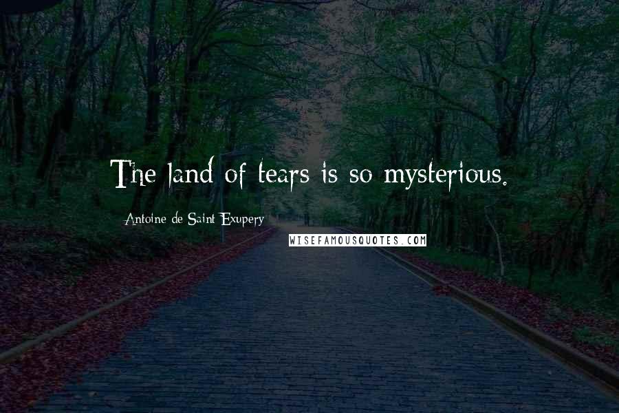 Antoine De Saint-Exupery Quotes: The land of tears is so mysterious.