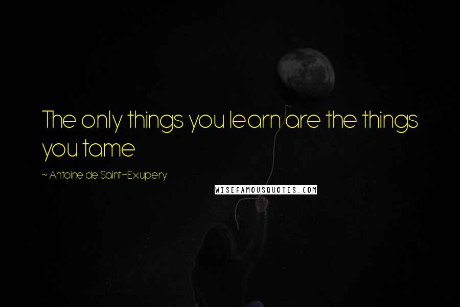Antoine De Saint-Exupery Quotes: The only things you learn are the things you tame