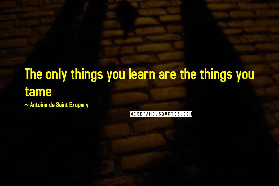 Antoine De Saint-Exupery Quotes: The only things you learn are the things you tame