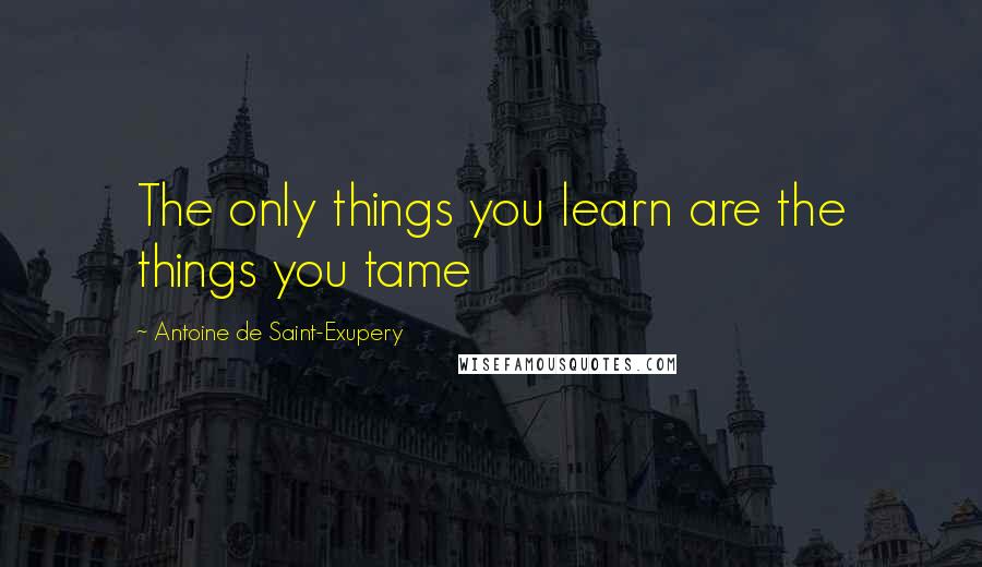 Antoine De Saint-Exupery Quotes: The only things you learn are the things you tame