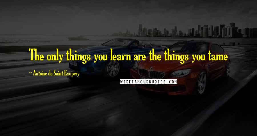 Antoine De Saint-Exupery Quotes: The only things you learn are the things you tame