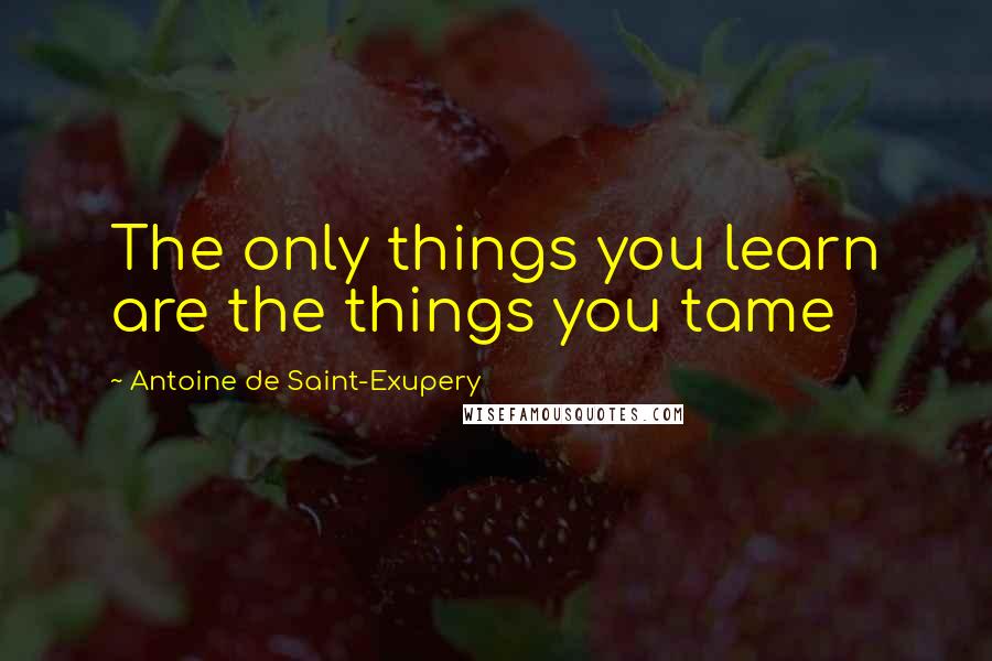 Antoine De Saint-Exupery Quotes: The only things you learn are the things you tame