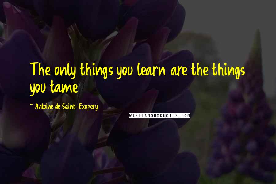 Antoine De Saint-Exupery Quotes: The only things you learn are the things you tame