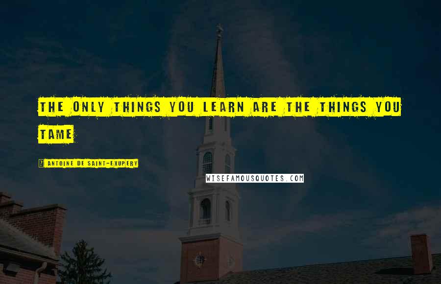 Antoine De Saint-Exupery Quotes: The only things you learn are the things you tame