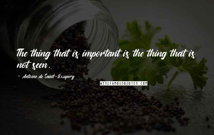 Antoine De Saint-Exupery Quotes: The thing that is important is the thing that is not seen.