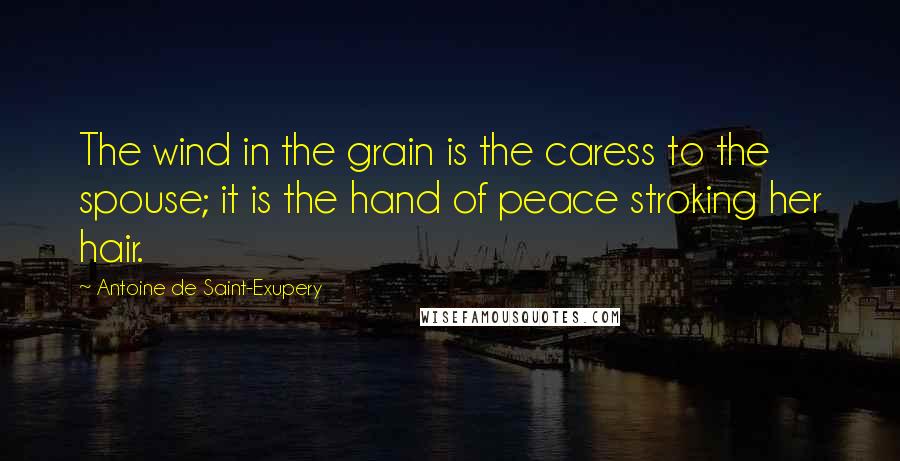 Antoine De Saint-Exupery Quotes: The wind in the grain is the caress to the spouse; it is the hand of peace stroking her hair.