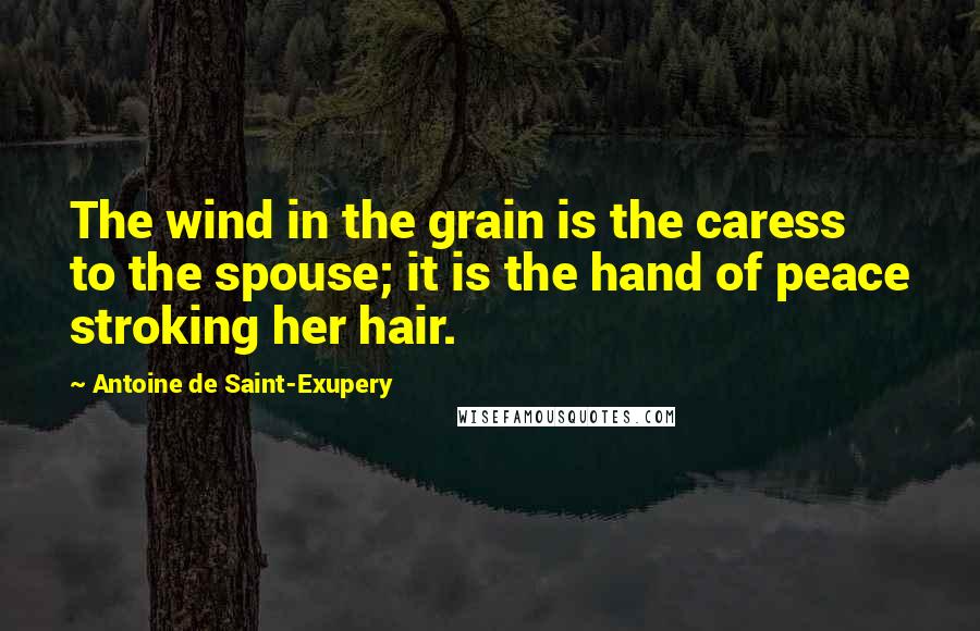 Antoine De Saint-Exupery Quotes: The wind in the grain is the caress to the spouse; it is the hand of peace stroking her hair.