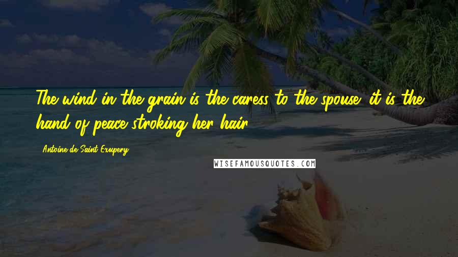 Antoine De Saint-Exupery Quotes: The wind in the grain is the caress to the spouse; it is the hand of peace stroking her hair.