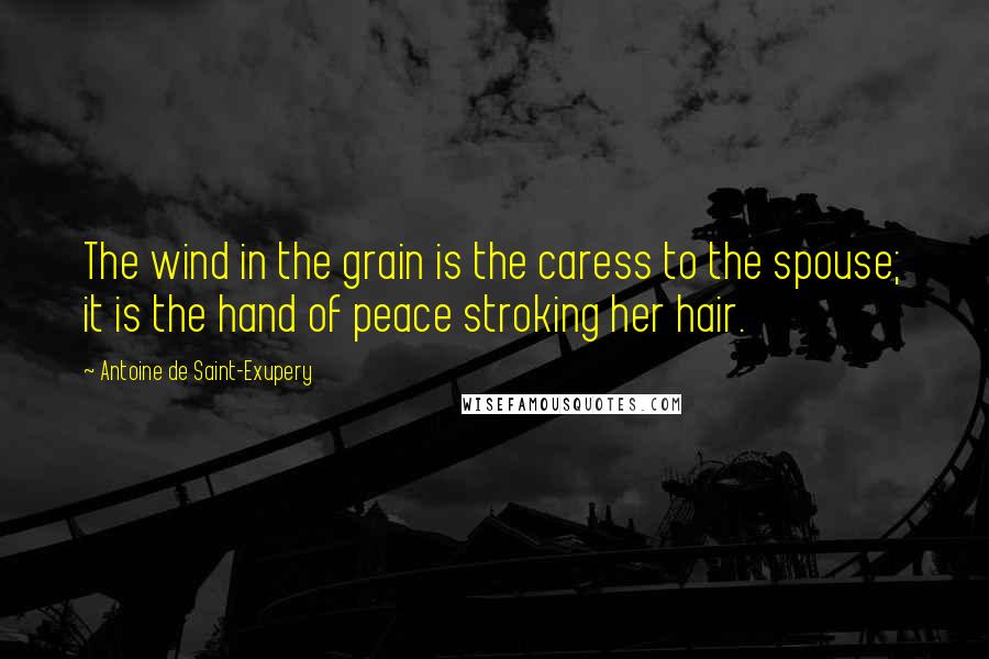 Antoine De Saint-Exupery Quotes: The wind in the grain is the caress to the spouse; it is the hand of peace stroking her hair.