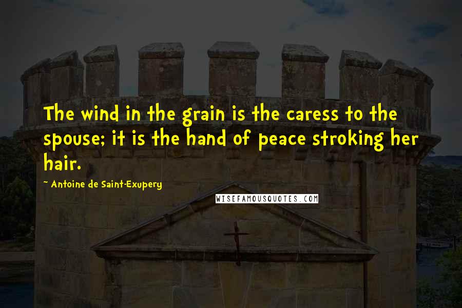 Antoine De Saint-Exupery Quotes: The wind in the grain is the caress to the spouse; it is the hand of peace stroking her hair.