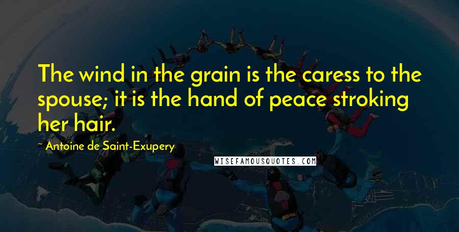 Antoine De Saint-Exupery Quotes: The wind in the grain is the caress to the spouse; it is the hand of peace stroking her hair.