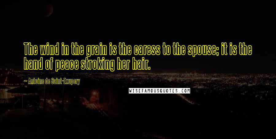 Antoine De Saint-Exupery Quotes: The wind in the grain is the caress to the spouse; it is the hand of peace stroking her hair.