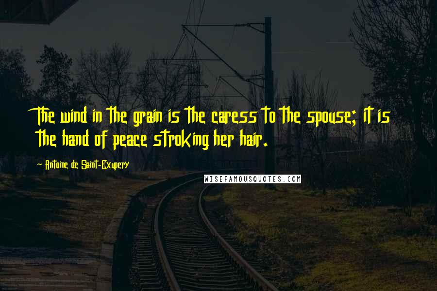 Antoine De Saint-Exupery Quotes: The wind in the grain is the caress to the spouse; it is the hand of peace stroking her hair.