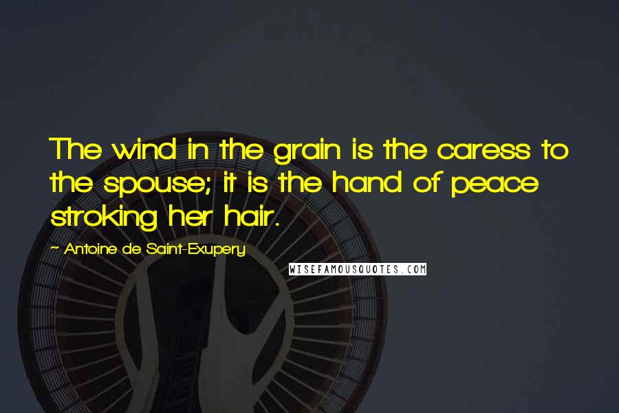 Antoine De Saint-Exupery Quotes: The wind in the grain is the caress to the spouse; it is the hand of peace stroking her hair.