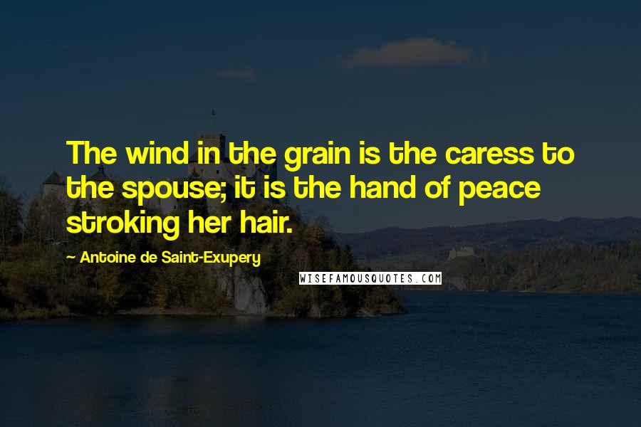 Antoine De Saint-Exupery Quotes: The wind in the grain is the caress to the spouse; it is the hand of peace stroking her hair.