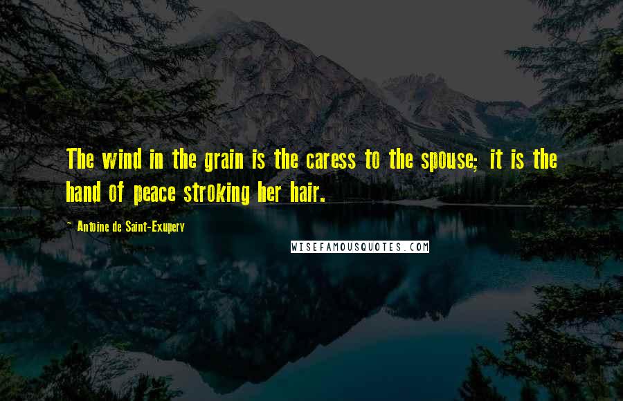 Antoine De Saint-Exupery Quotes: The wind in the grain is the caress to the spouse; it is the hand of peace stroking her hair.