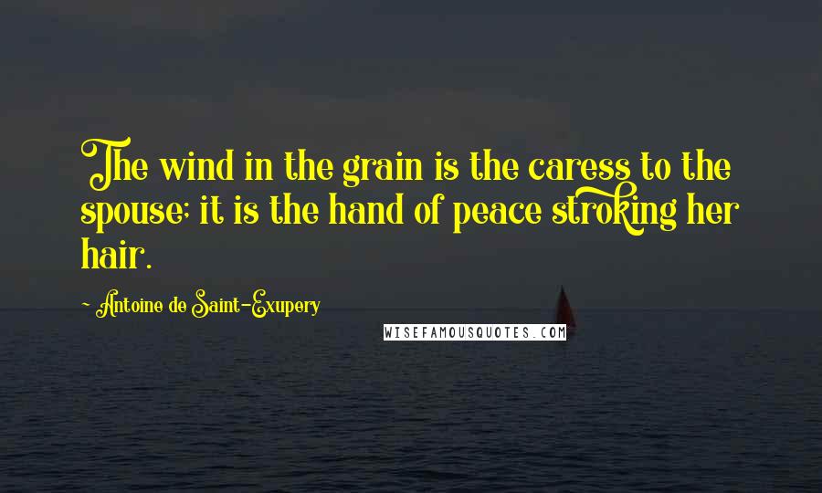 Antoine De Saint-Exupery Quotes: The wind in the grain is the caress to the spouse; it is the hand of peace stroking her hair.