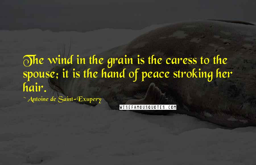 Antoine De Saint-Exupery Quotes: The wind in the grain is the caress to the spouse; it is the hand of peace stroking her hair.