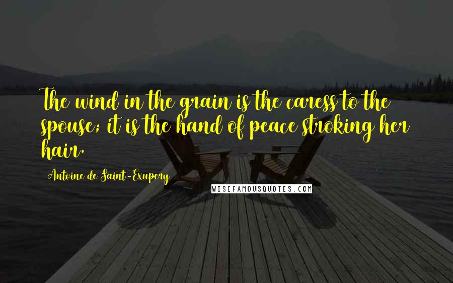 Antoine De Saint-Exupery Quotes: The wind in the grain is the caress to the spouse; it is the hand of peace stroking her hair.