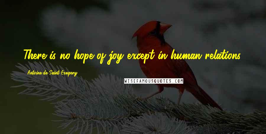 Antoine De Saint-Exupery Quotes: There is no hope of joy except in human relations.