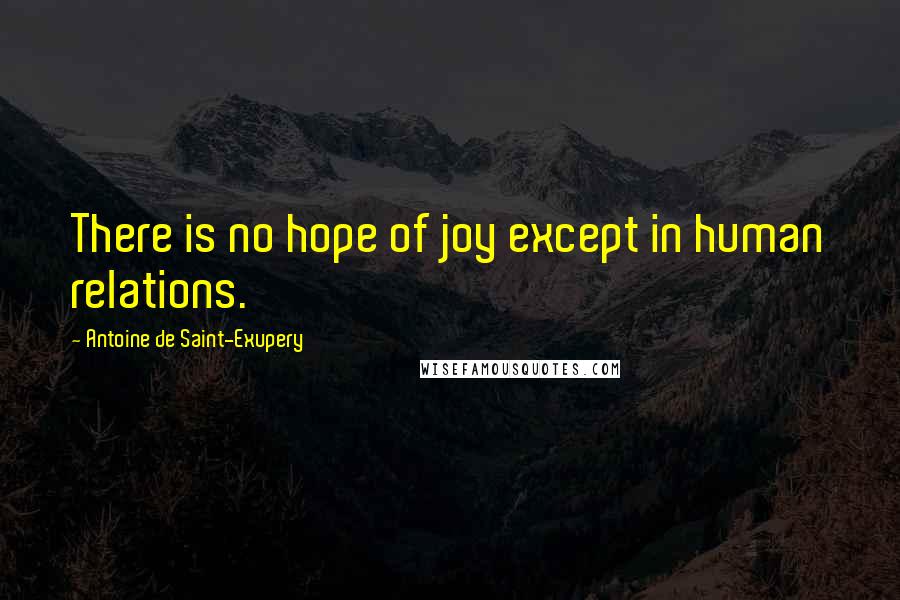 Antoine De Saint-Exupery Quotes: There is no hope of joy except in human relations.