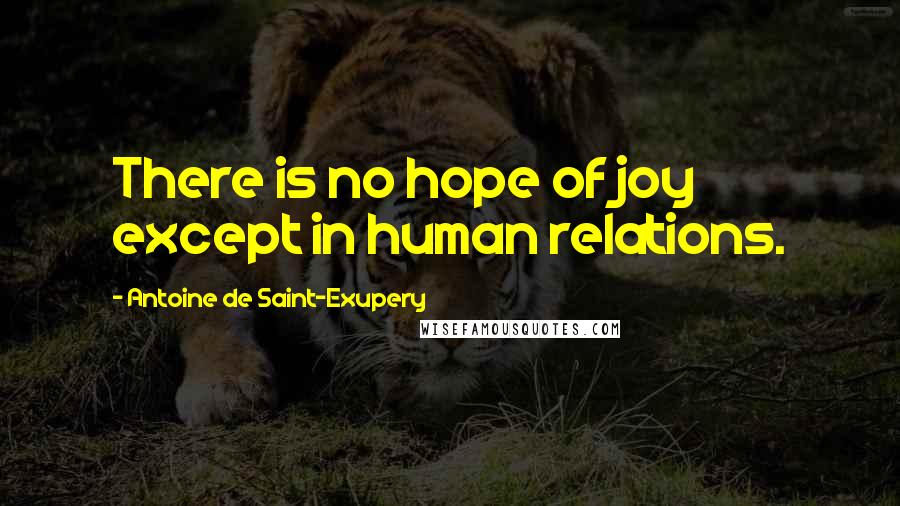 Antoine De Saint-Exupery Quotes: There is no hope of joy except in human relations.