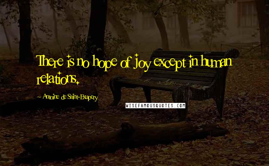 Antoine De Saint-Exupery Quotes: There is no hope of joy except in human relations.