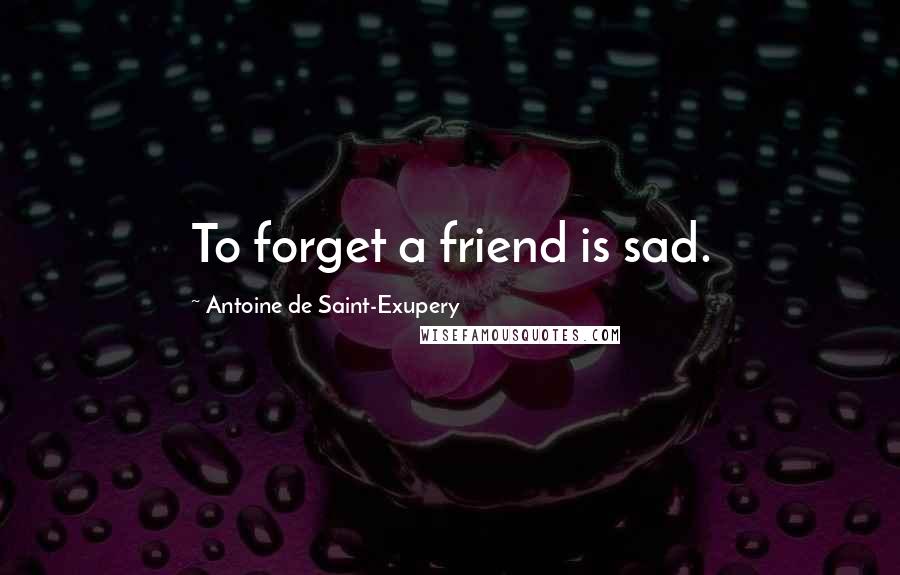 Antoine De Saint-Exupery Quotes: To forget a friend is sad.