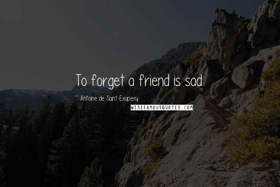 Antoine De Saint-Exupery Quotes: To forget a friend is sad.