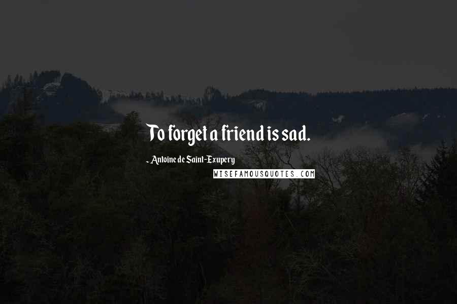 Antoine De Saint-Exupery Quotes: To forget a friend is sad.