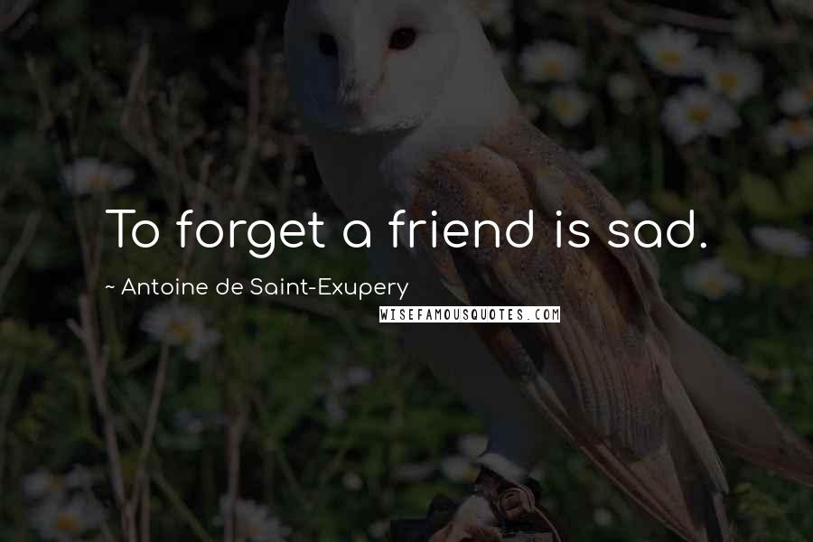 Antoine De Saint-Exupery Quotes: To forget a friend is sad.