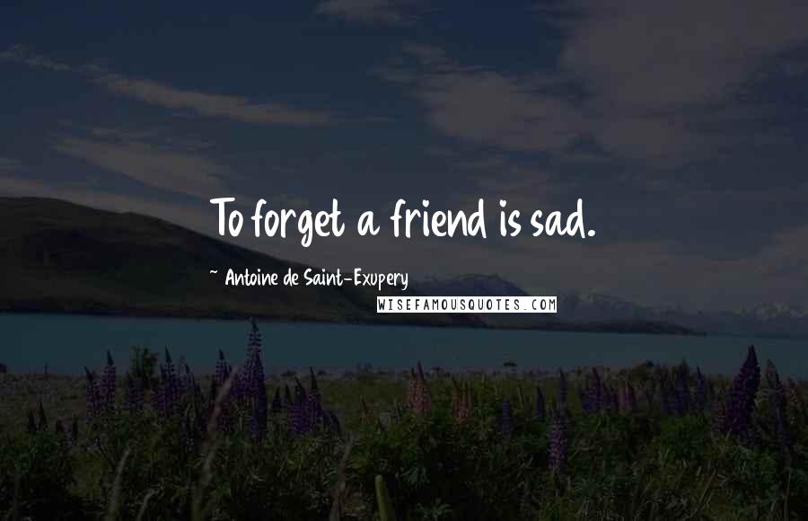 Antoine De Saint-Exupery Quotes: To forget a friend is sad.