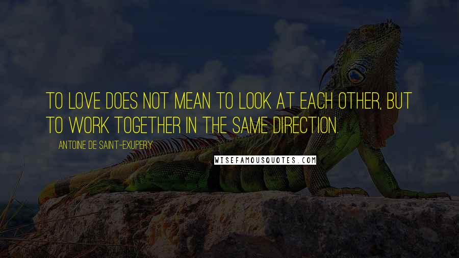 Antoine De Saint-Exupery Quotes: To love does not mean to look at each other, but to work together in the same direction.