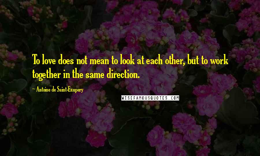 Antoine De Saint-Exupery Quotes: To love does not mean to look at each other, but to work together in the same direction.