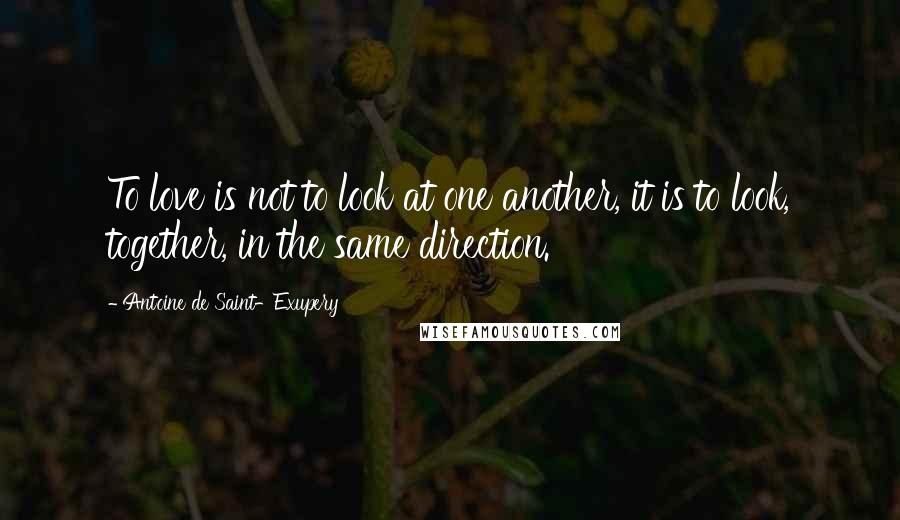 Antoine De Saint-Exupery Quotes: To love is not to look at one another, it is to look, together, in the same direction.