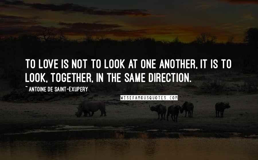 Antoine De Saint-Exupery Quotes: To love is not to look at one another, it is to look, together, in the same direction.