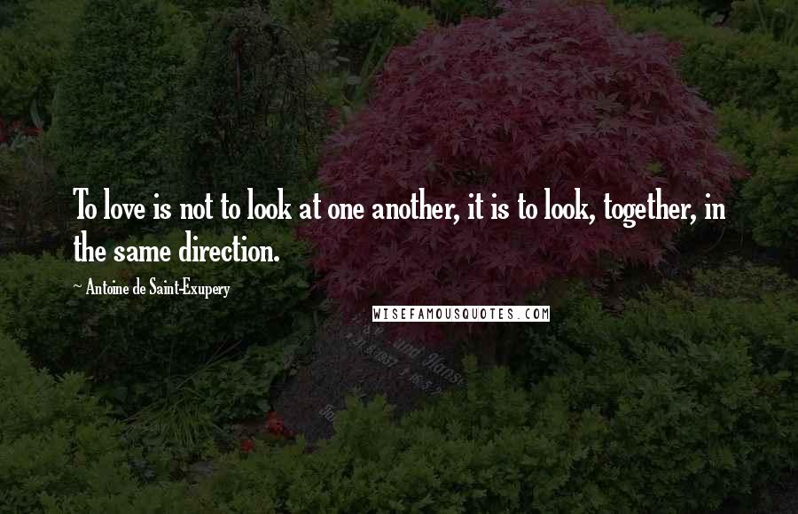 Antoine De Saint-Exupery Quotes: To love is not to look at one another, it is to look, together, in the same direction.