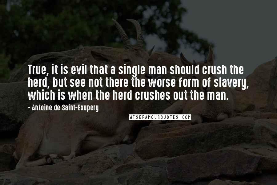 Antoine De Saint-Exupery Quotes: True, it is evil that a single man should crush the herd, but see not there the worse form of slavery, which is when the herd crushes out the man.