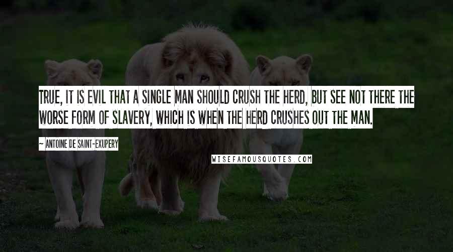 Antoine De Saint-Exupery Quotes: True, it is evil that a single man should crush the herd, but see not there the worse form of slavery, which is when the herd crushes out the man.