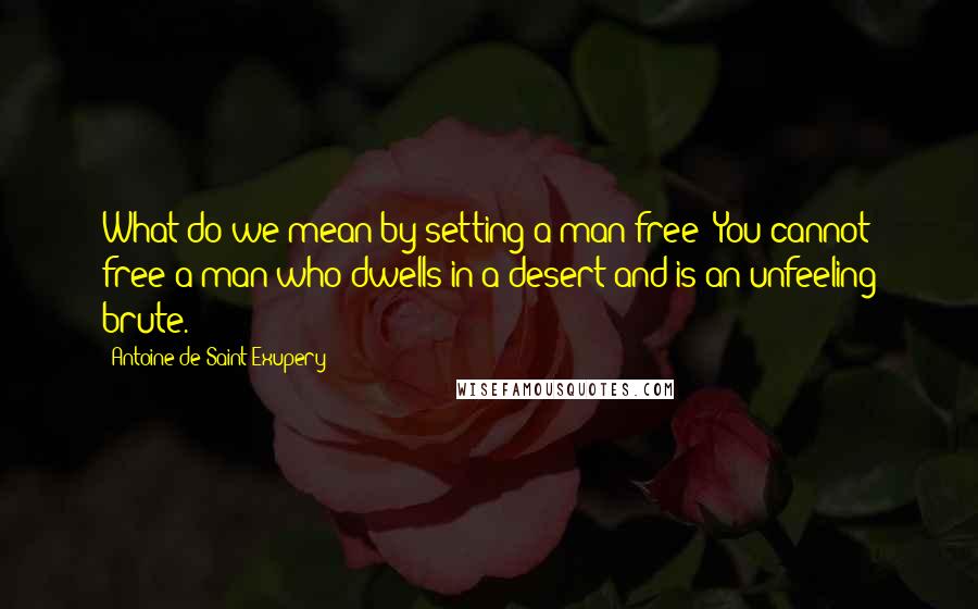 Antoine De Saint-Exupery Quotes: What do we mean by setting a man free? You cannot free a man who dwells in a desert and is an unfeeling brute.