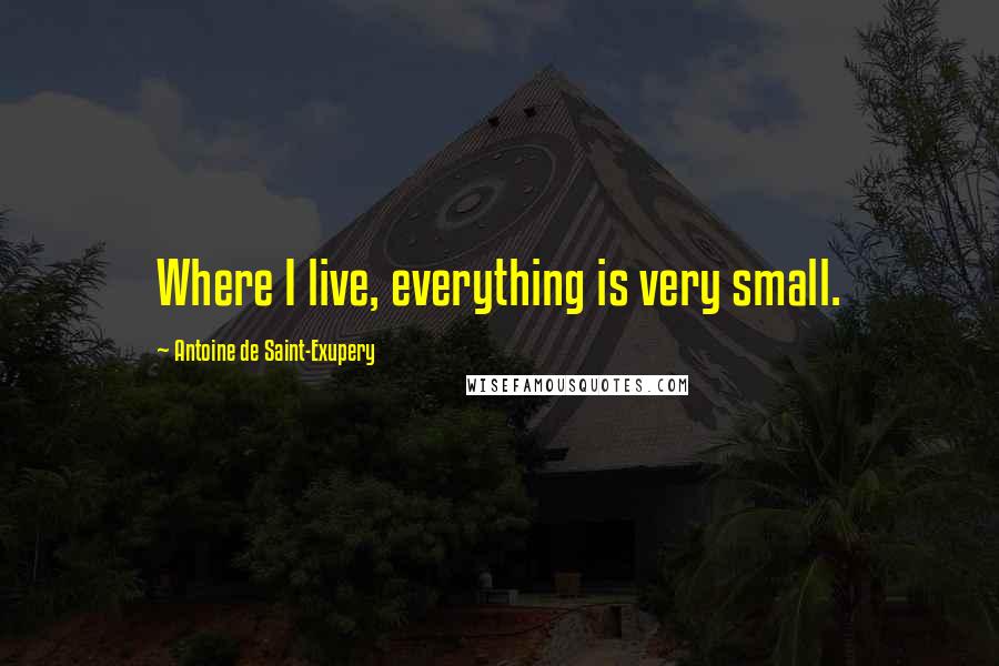 Antoine De Saint-Exupery Quotes: Where I live, everything is very small.