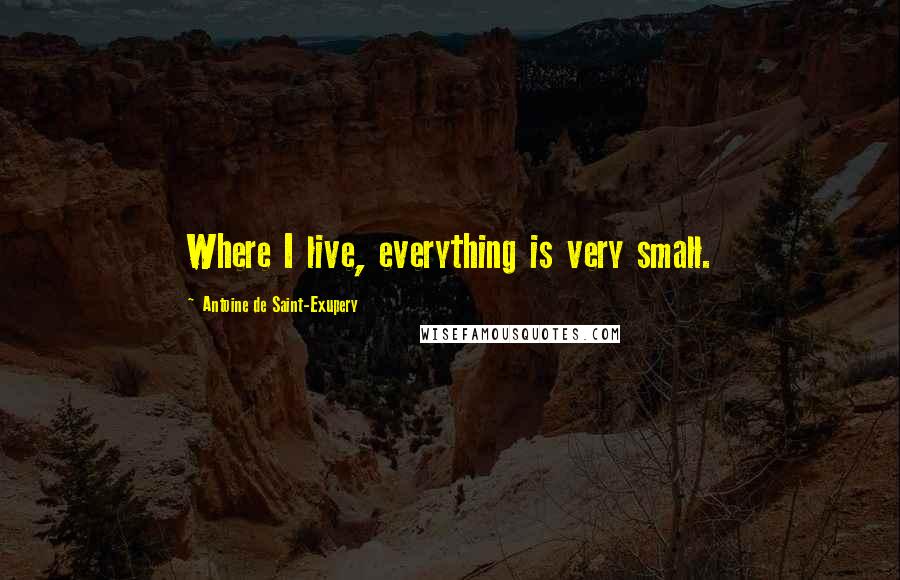 Antoine De Saint-Exupery Quotes: Where I live, everything is very small.