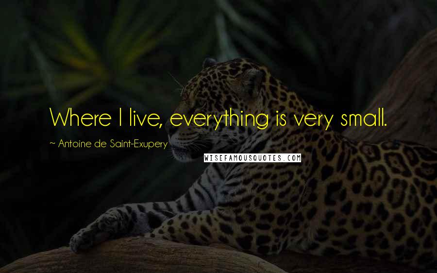 Antoine De Saint-Exupery Quotes: Where I live, everything is very small.