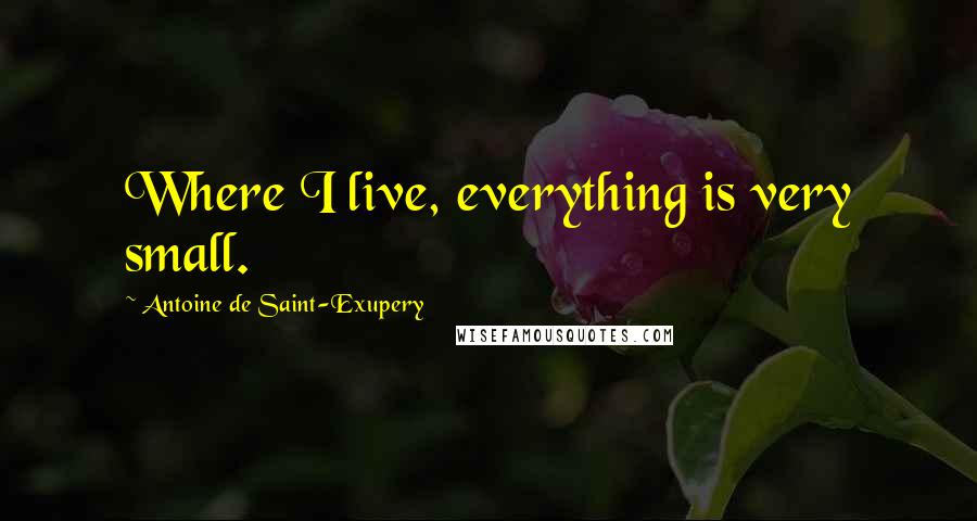 Antoine De Saint-Exupery Quotes: Where I live, everything is very small.