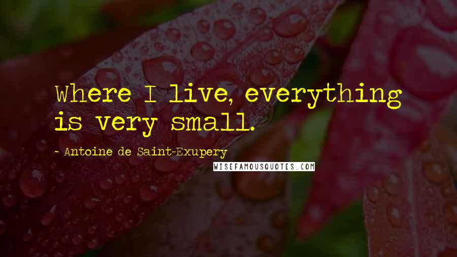 Antoine De Saint-Exupery Quotes: Where I live, everything is very small.