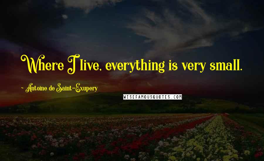 Antoine De Saint-Exupery Quotes: Where I live, everything is very small.