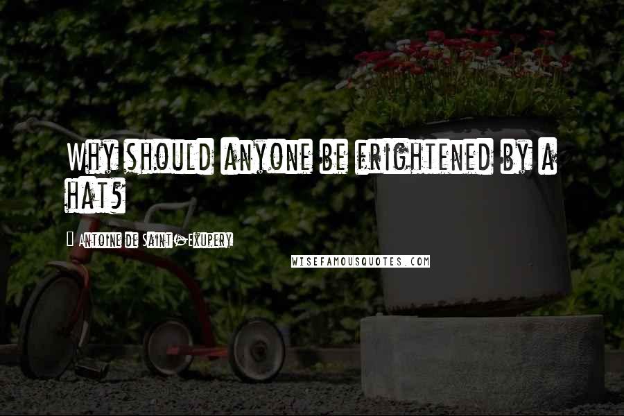 Antoine De Saint-Exupery Quotes: Why should anyone be frightened by a hat?