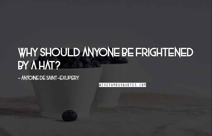 Antoine De Saint-Exupery Quotes: Why should anyone be frightened by a hat?