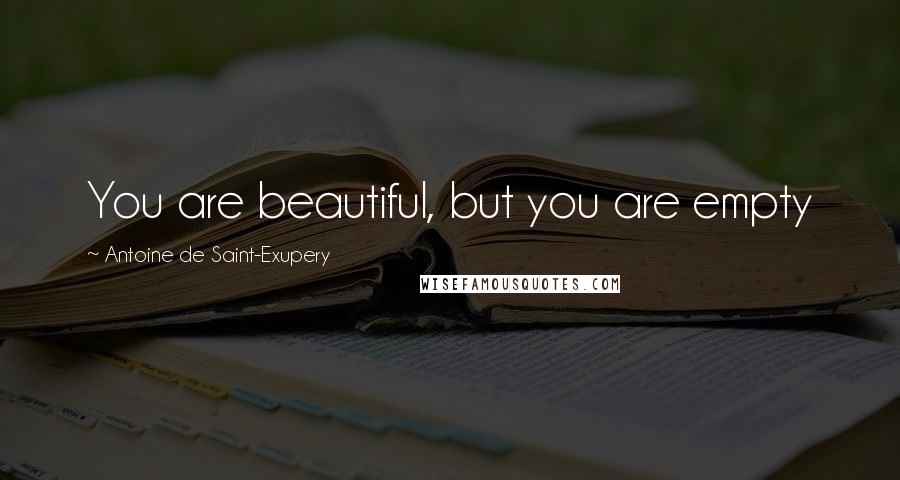 Antoine De Saint-Exupery Quotes: You are beautiful, but you are empty