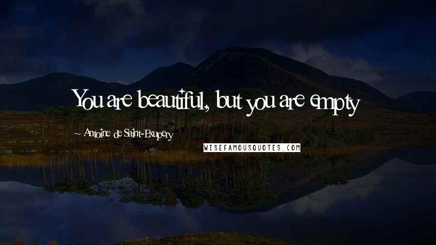 Antoine De Saint-Exupery Quotes: You are beautiful, but you are empty